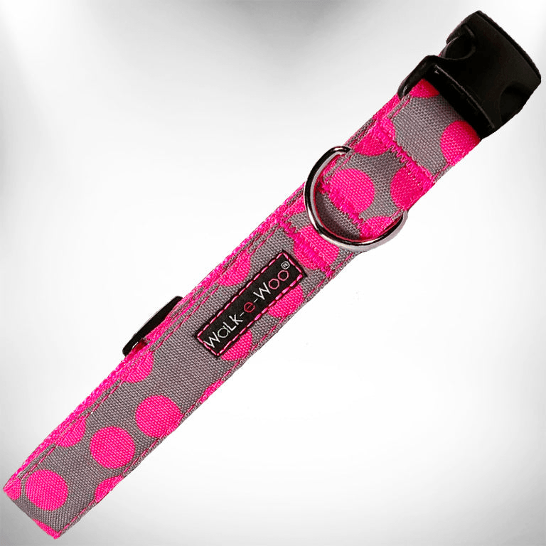 Polka Dot Dog - Neon Collars