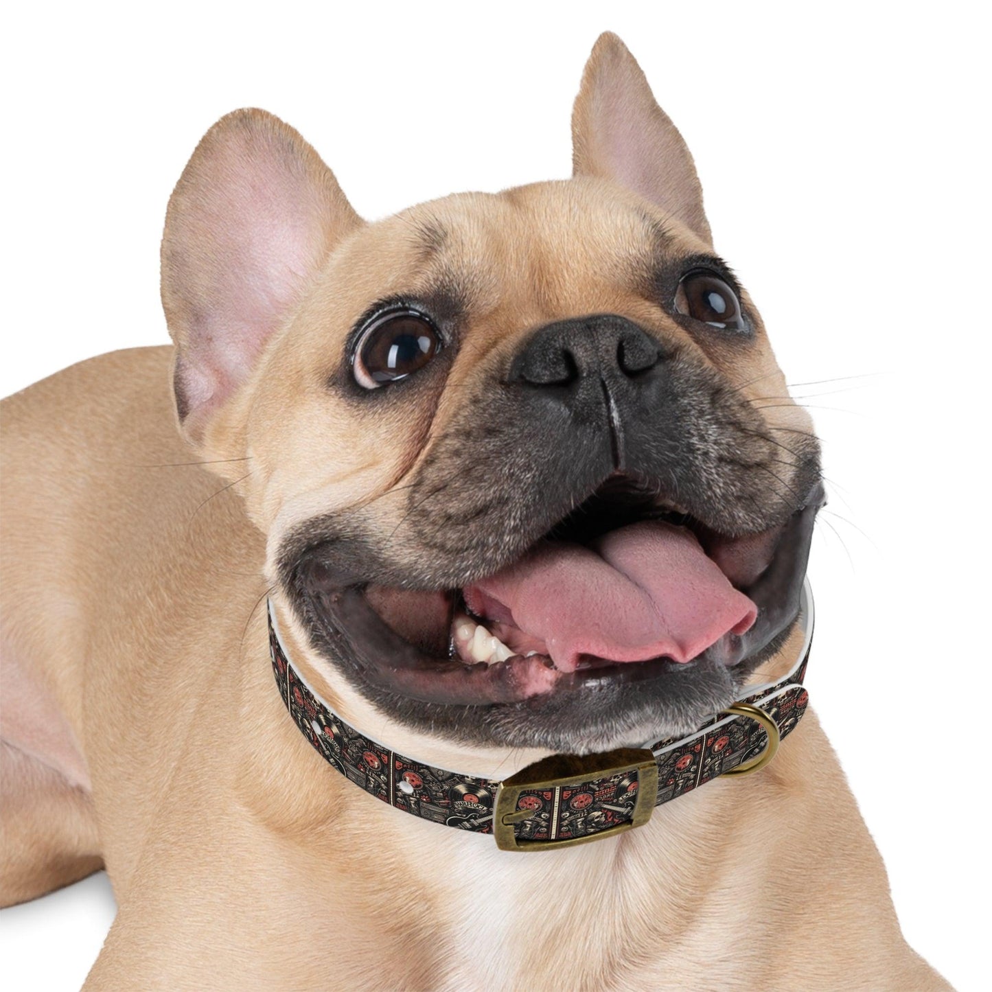 rock and roll Dog Collar