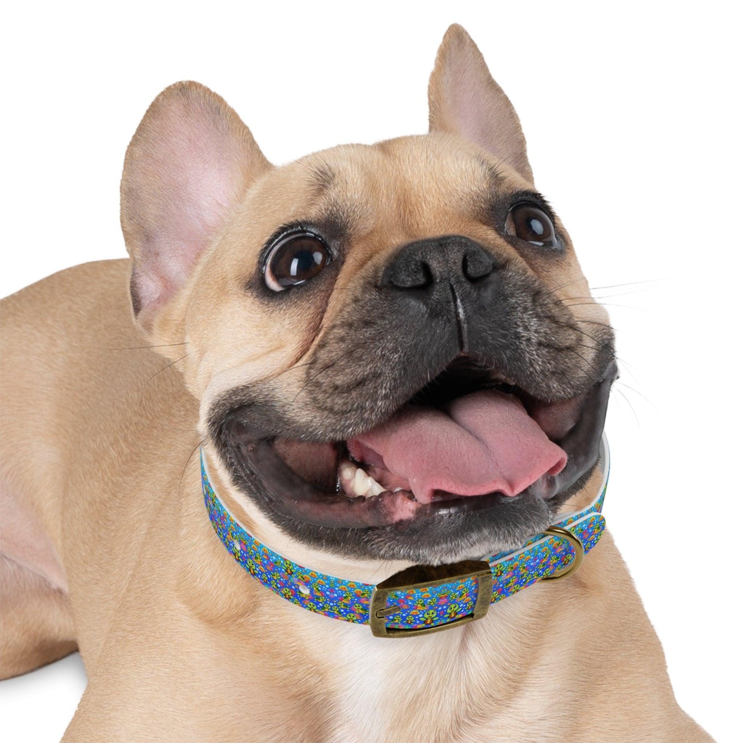 Turtle Duuuude Dog Collar