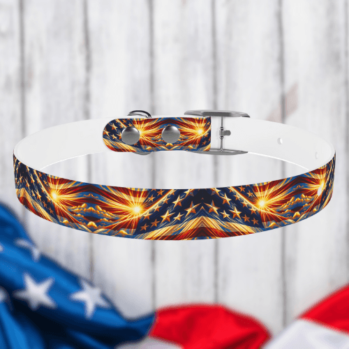Bright Patriot Sky Dog Collar🌞🐾
