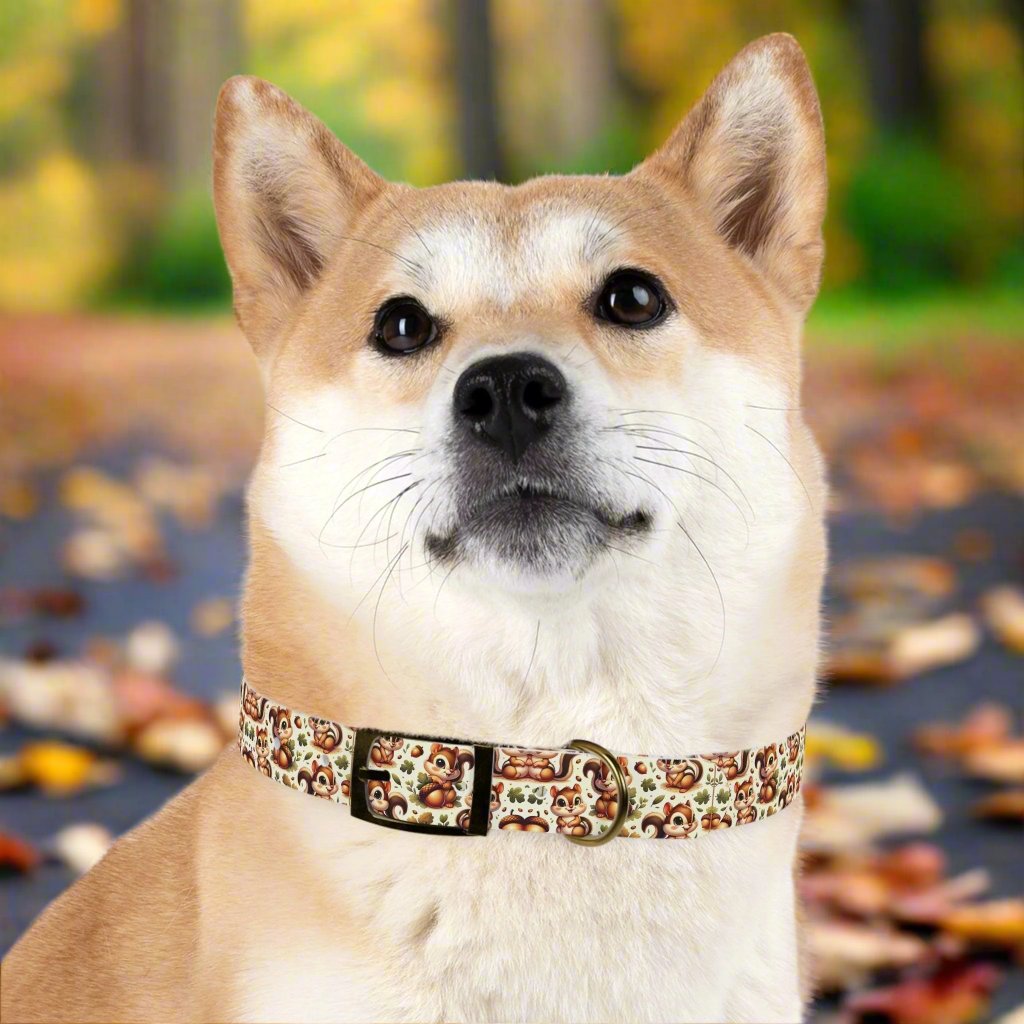 Squirrely Squirrel Dog Collar πΏοΈπ