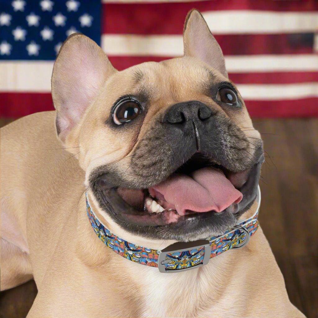 Retro Eagle & Liberty Bell Dog Collar