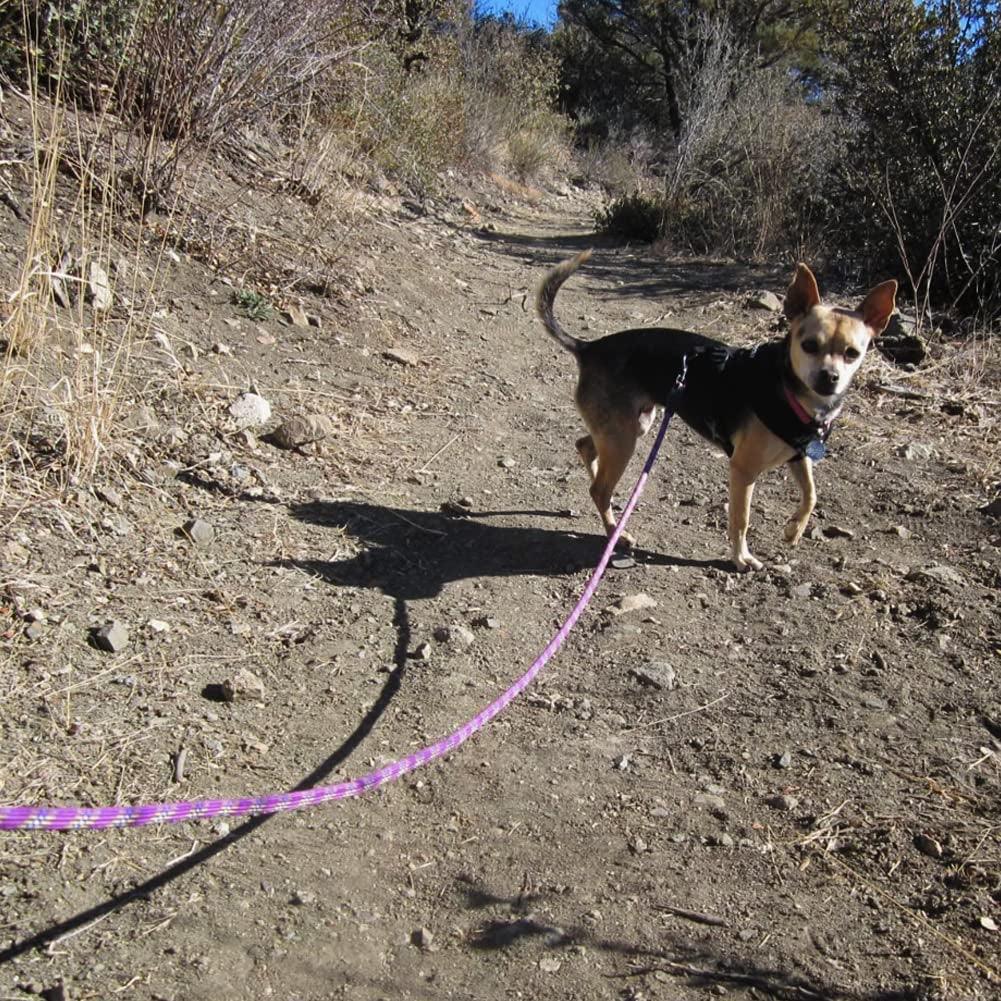 Heavy Duty Rope Dog Leash, 3/4/5/6/7/8/10/12/15 FT Nylon Pet Training Leash, Soft Padded Handle Thick Lead Leash for Large Medium Dogs (1/2" 6', Purple)