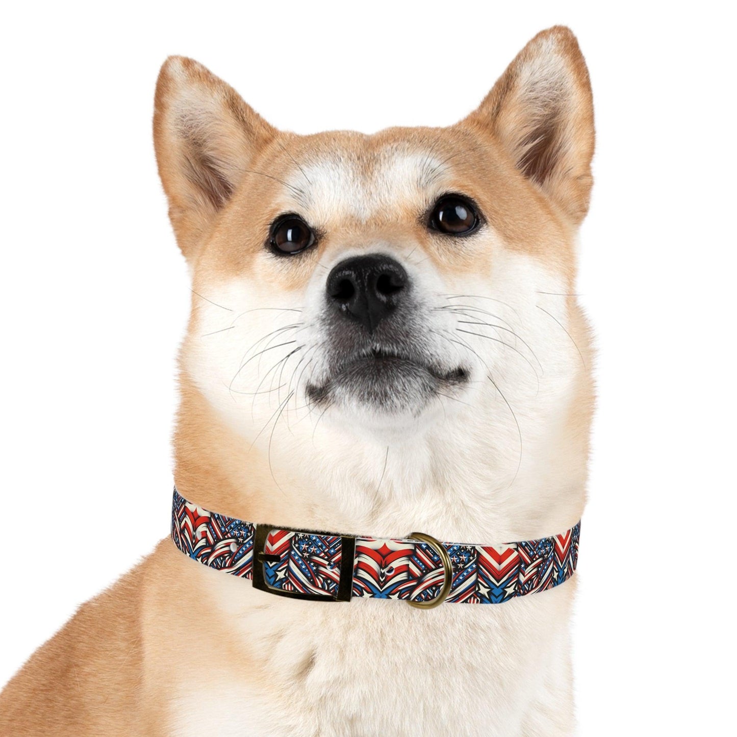 πΊπΈ Freedom Fang Collar