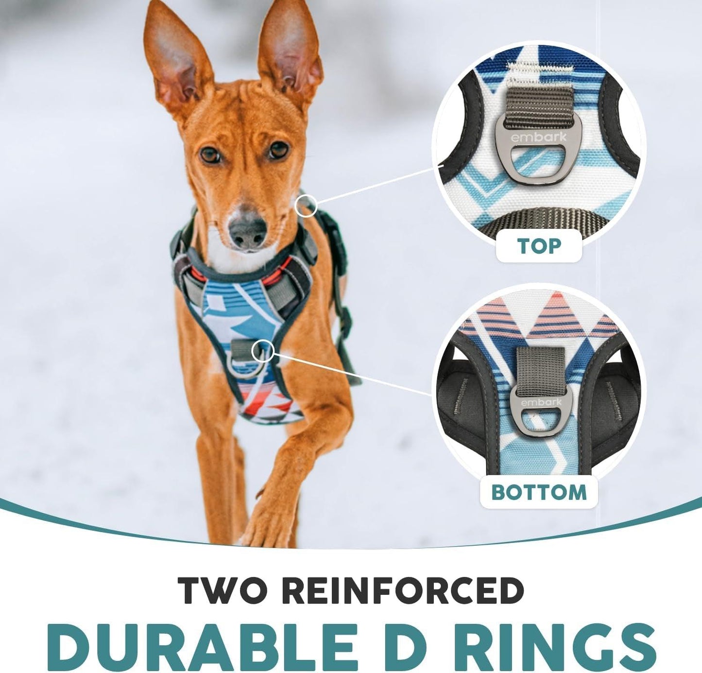 Embark Urban Dog Harness No-Pull Dog Harness for Small Dogs, Medium & Large. 2 Leash Clips, Front & Back with Control Handle, Adjustable Black Dog Vest for Any Breed, Soft & Padded for Comfort