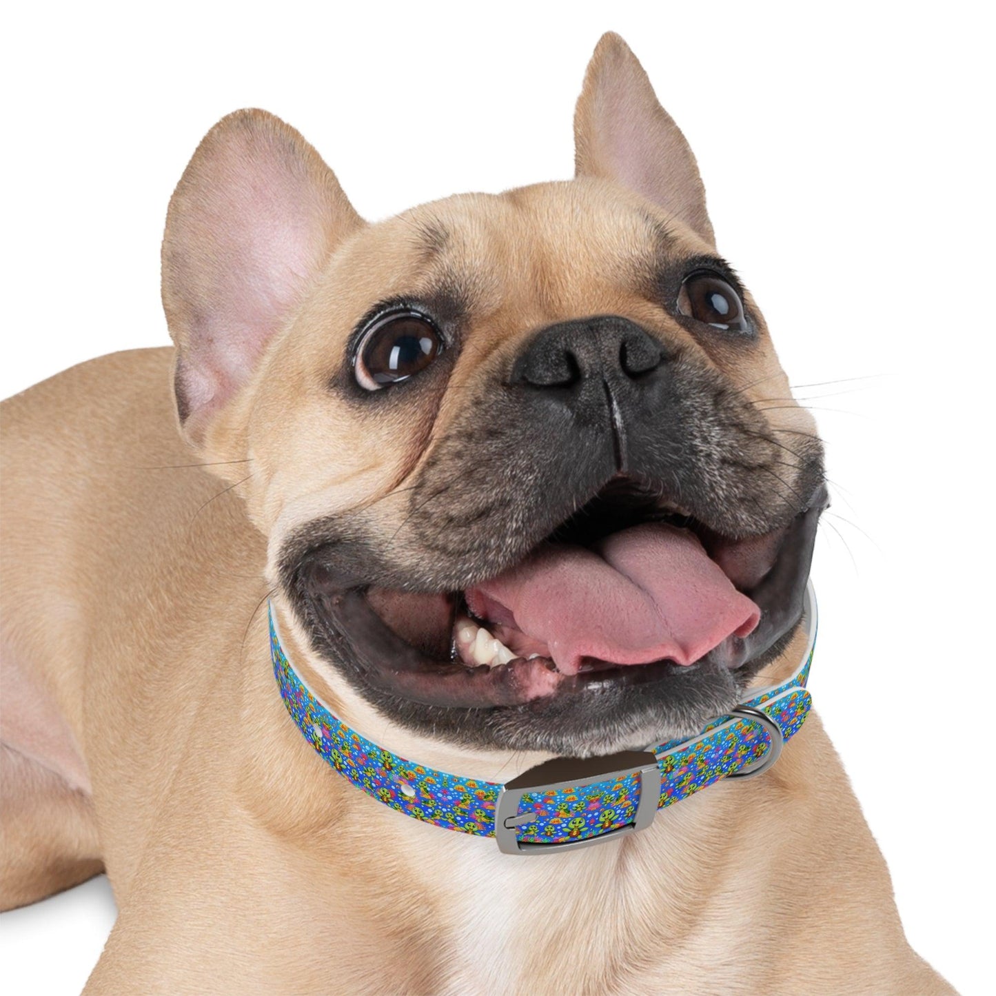 Turtle Duuuude Dog Collar