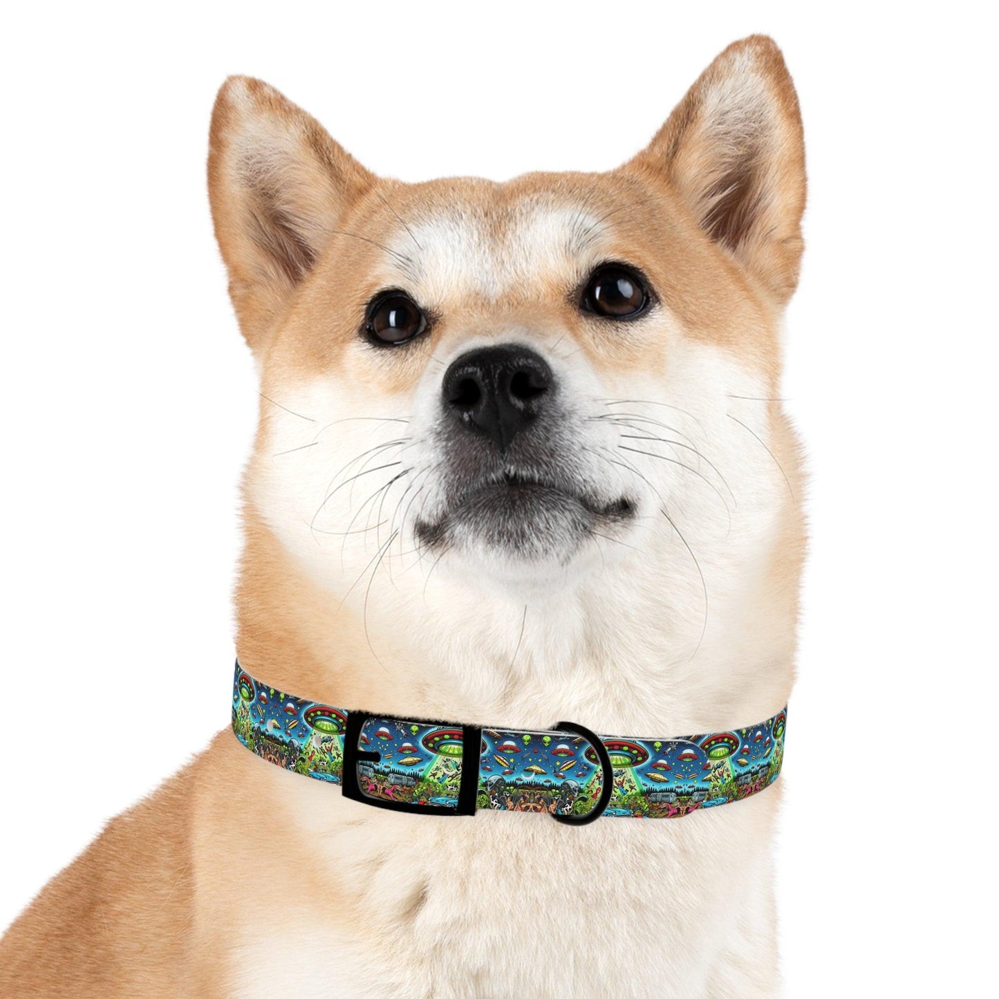 Beam Me Up, Bro! Dog Collar