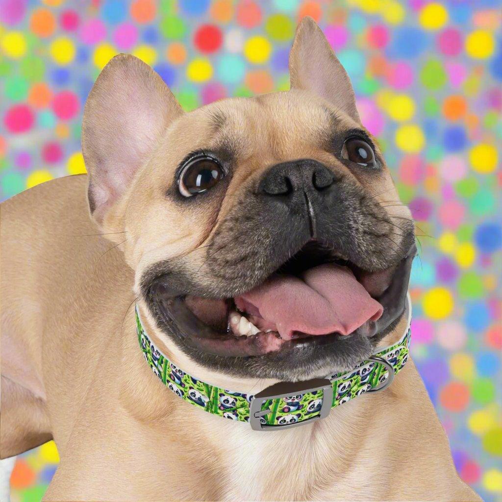: ๐ผ Playful Panda Paws Dog Collar โ USA Made ๐พ