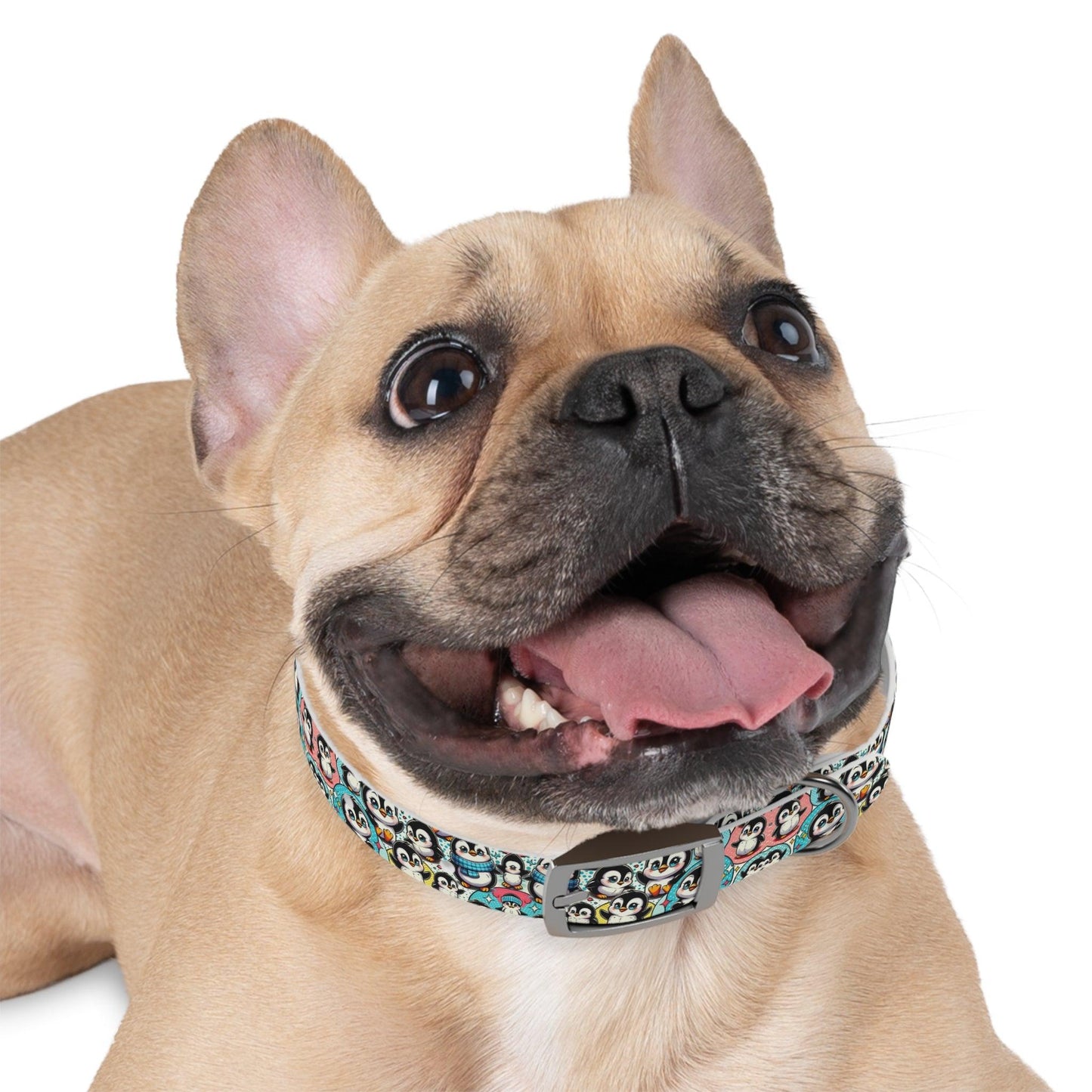 Happy Feet Dog Collar🐾🌟