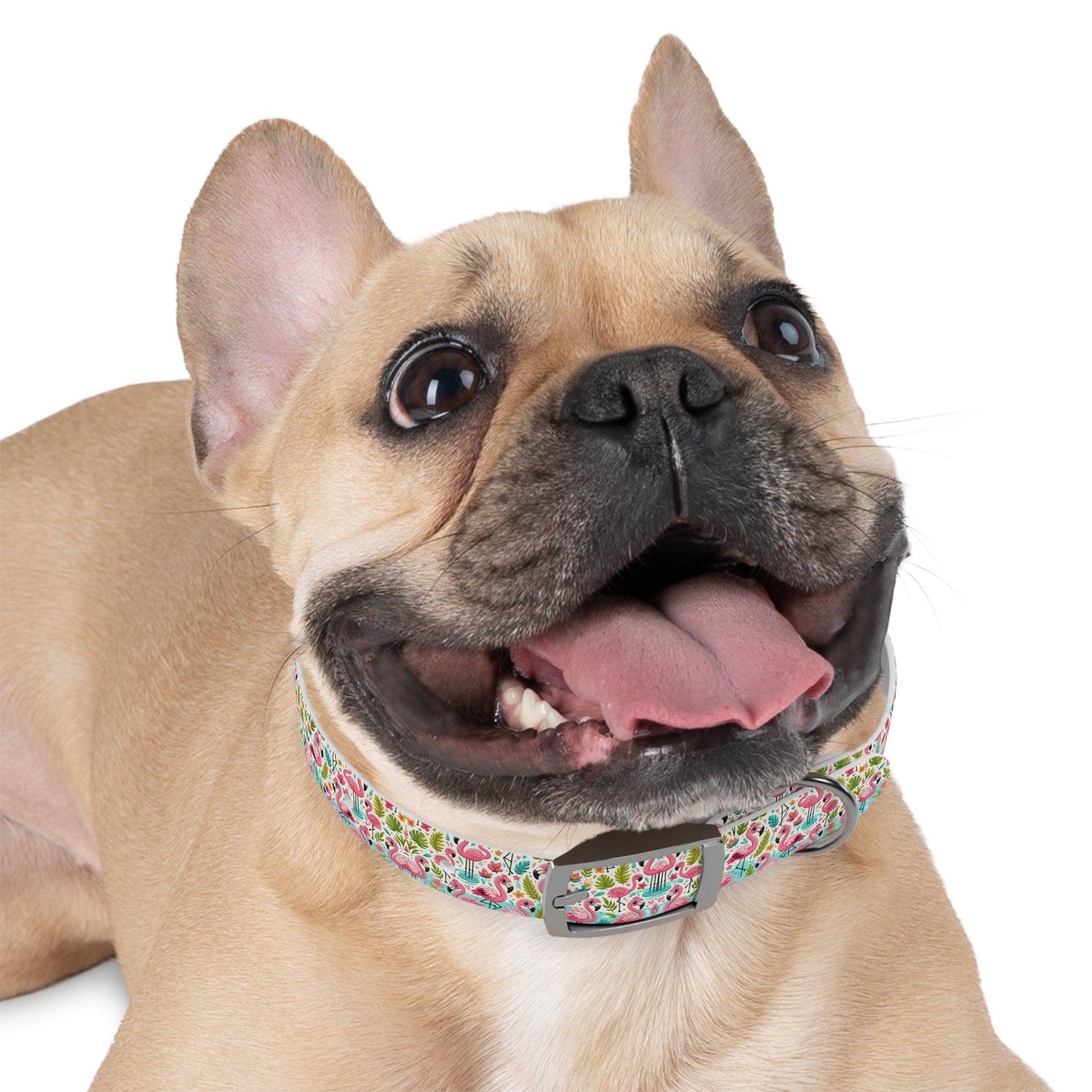 FancyFeather Flamingo Frenzy Dog Collar