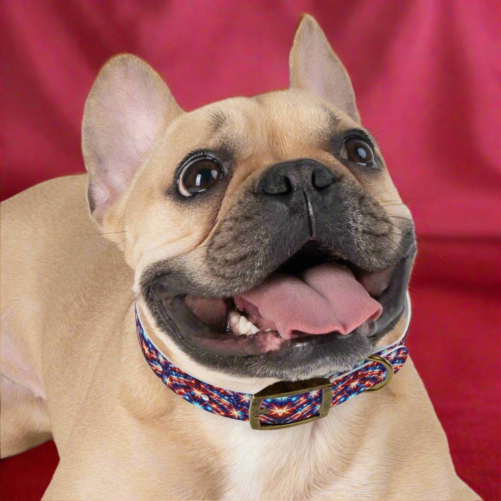 Snap "n" Strut Dog Collar ๐พโจ!