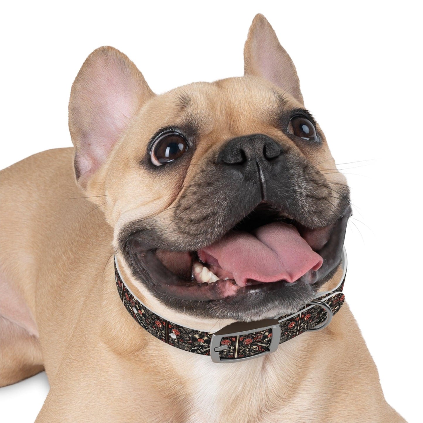 rock and roll Dog Collar