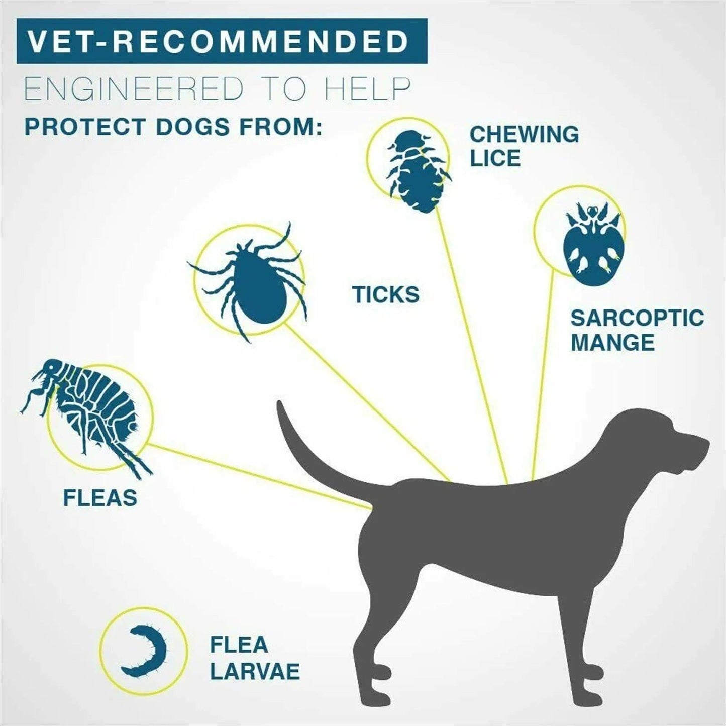 Dog anti Flea and Tick Collars,Pet 8Month Protection Adjustable Collar for Large Dog Puppy Cat, Dogs Accessories