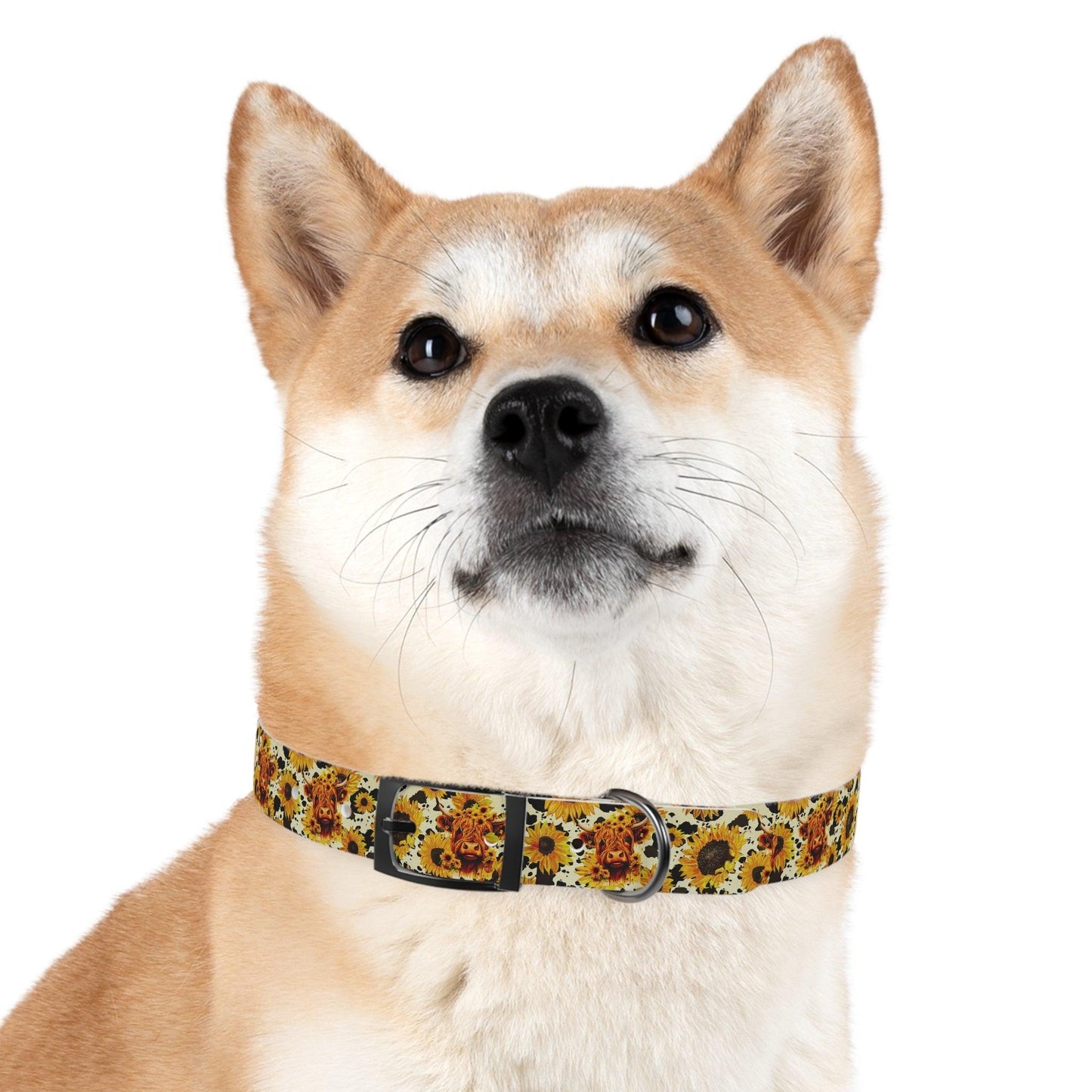 Sunshine Moo: Fluffy Cow and Sunflower Dog Collar