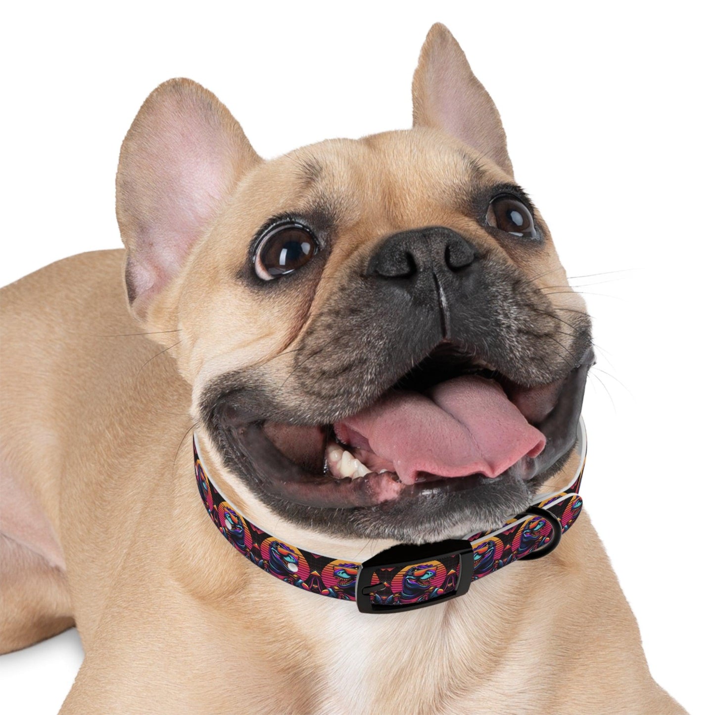 π¦ Retro Rex Dog Collar