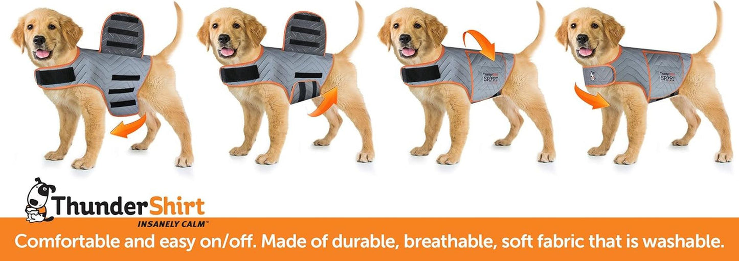 for Dogs, Fuchsia Sport - Dog Anxiety Vest, Medium