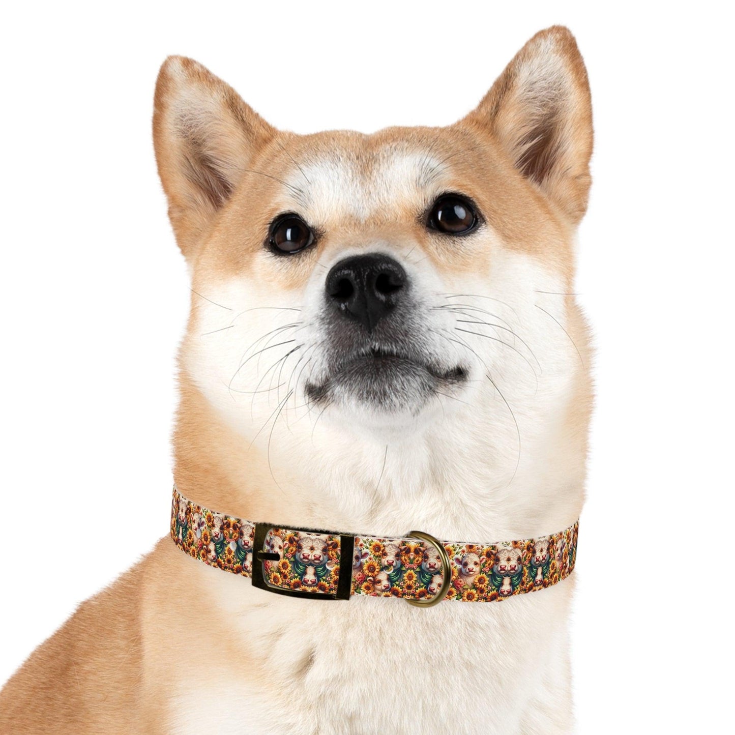 Moonicorns & Sunflowers Dog Collar