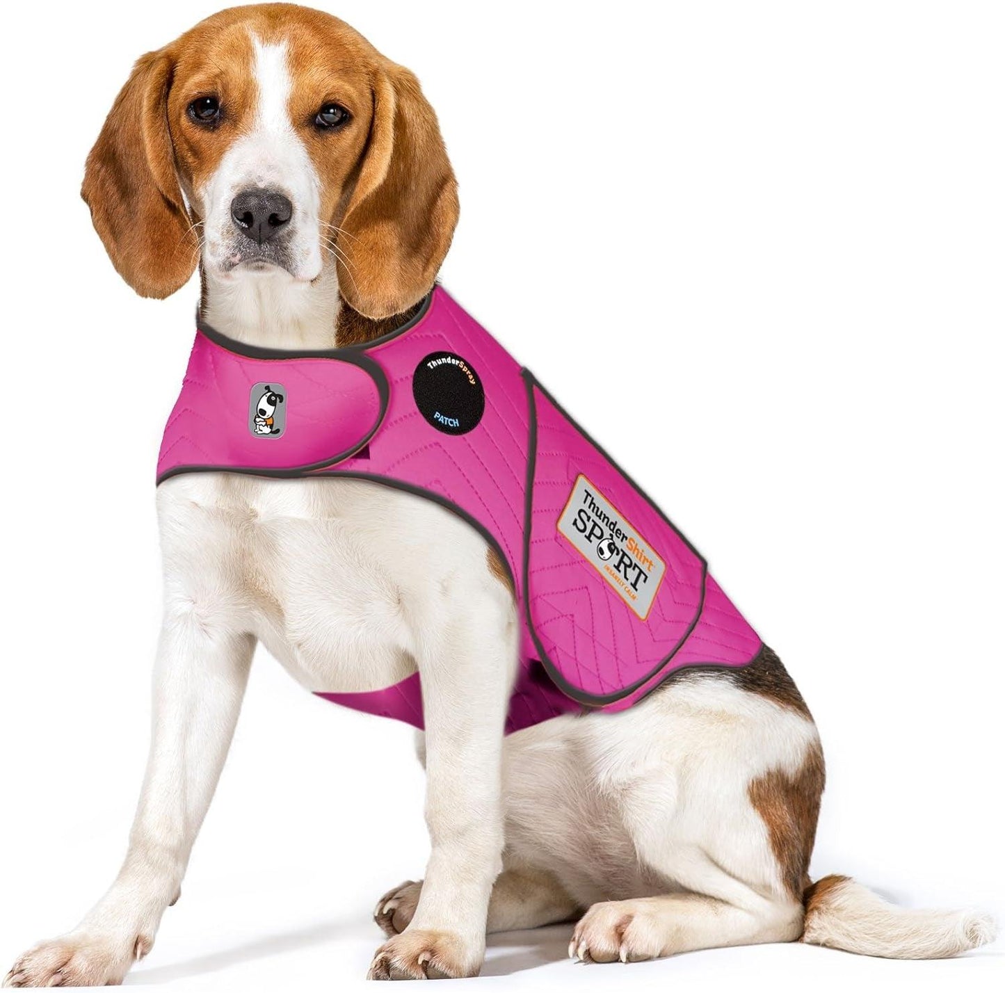 for Dogs, Fuchsia Sport - Dog Anxiety Vest, Medium