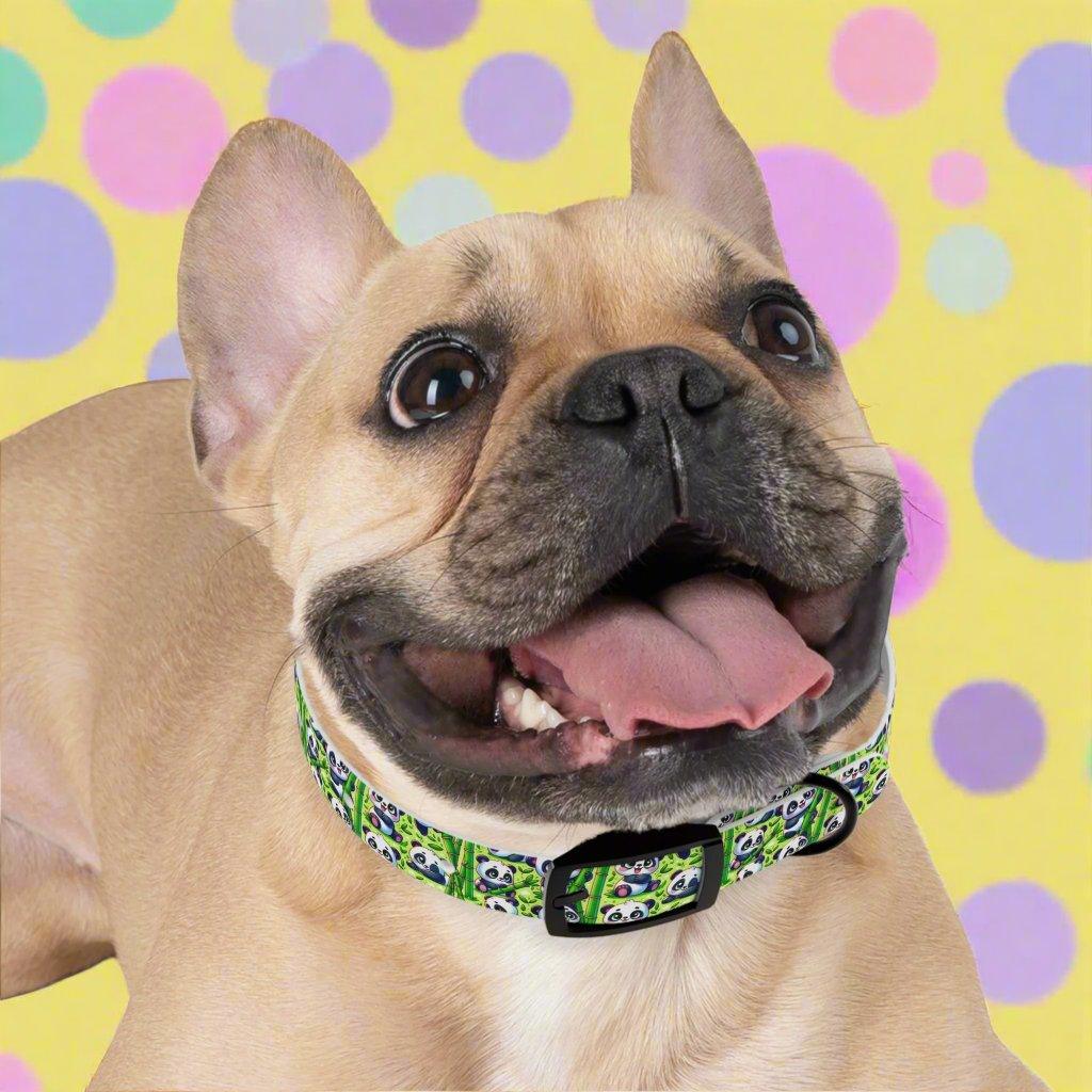 : ๐ผ Playful Panda Paws Dog Collar โ USA Made ๐พ