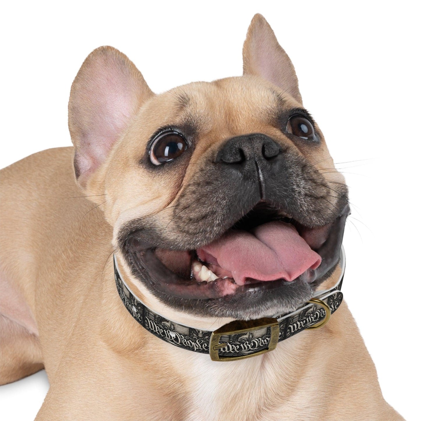 We The People Patriotic Dog Collar