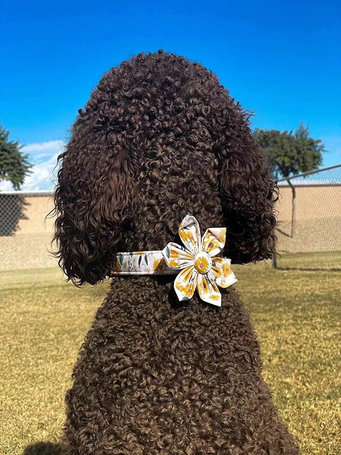 Sunflower Girl Dog Collar for Female Dogs, Pet Collar Adjustable Dog Collars with Flower Gift for Medium Dogs