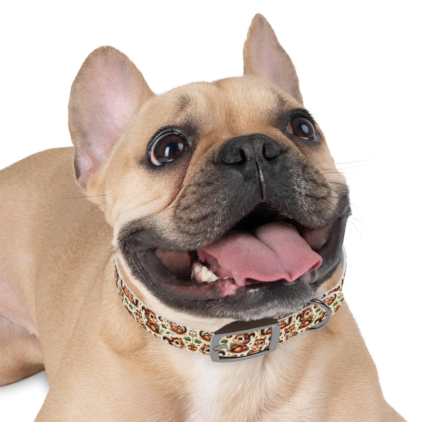 Squirrely Squirrel Dog Collar πΏοΈπ