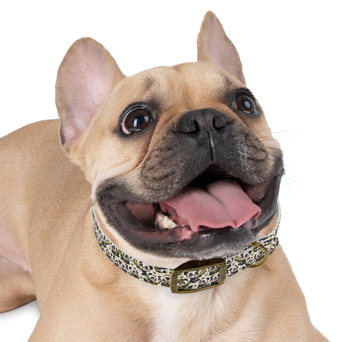Panda-monium Dog Collar