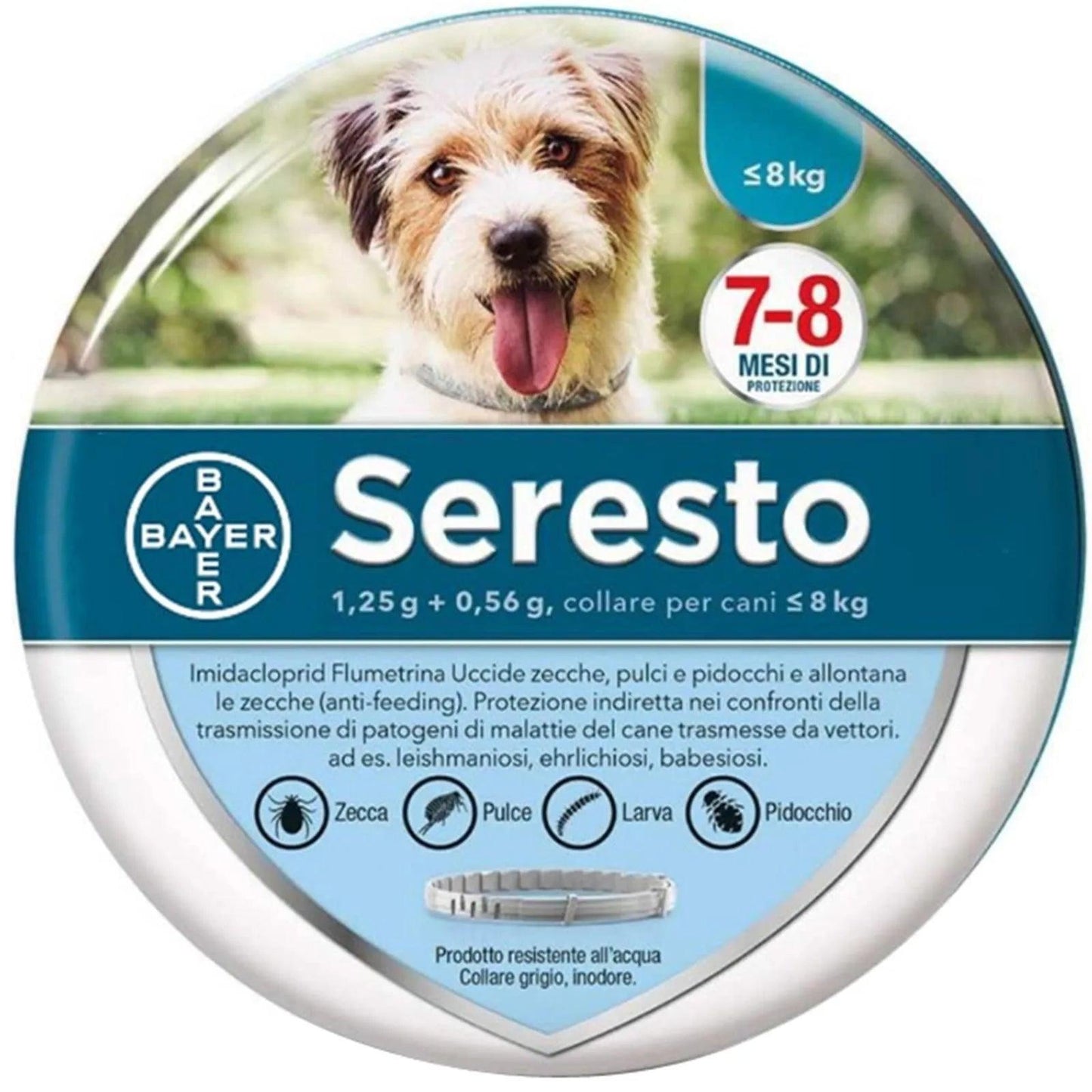 Dog anti Flea and Tick Collars,Pet 8Month Protection Adjustable Collar for Large Dog Puppy Cat, Dogs Accessories