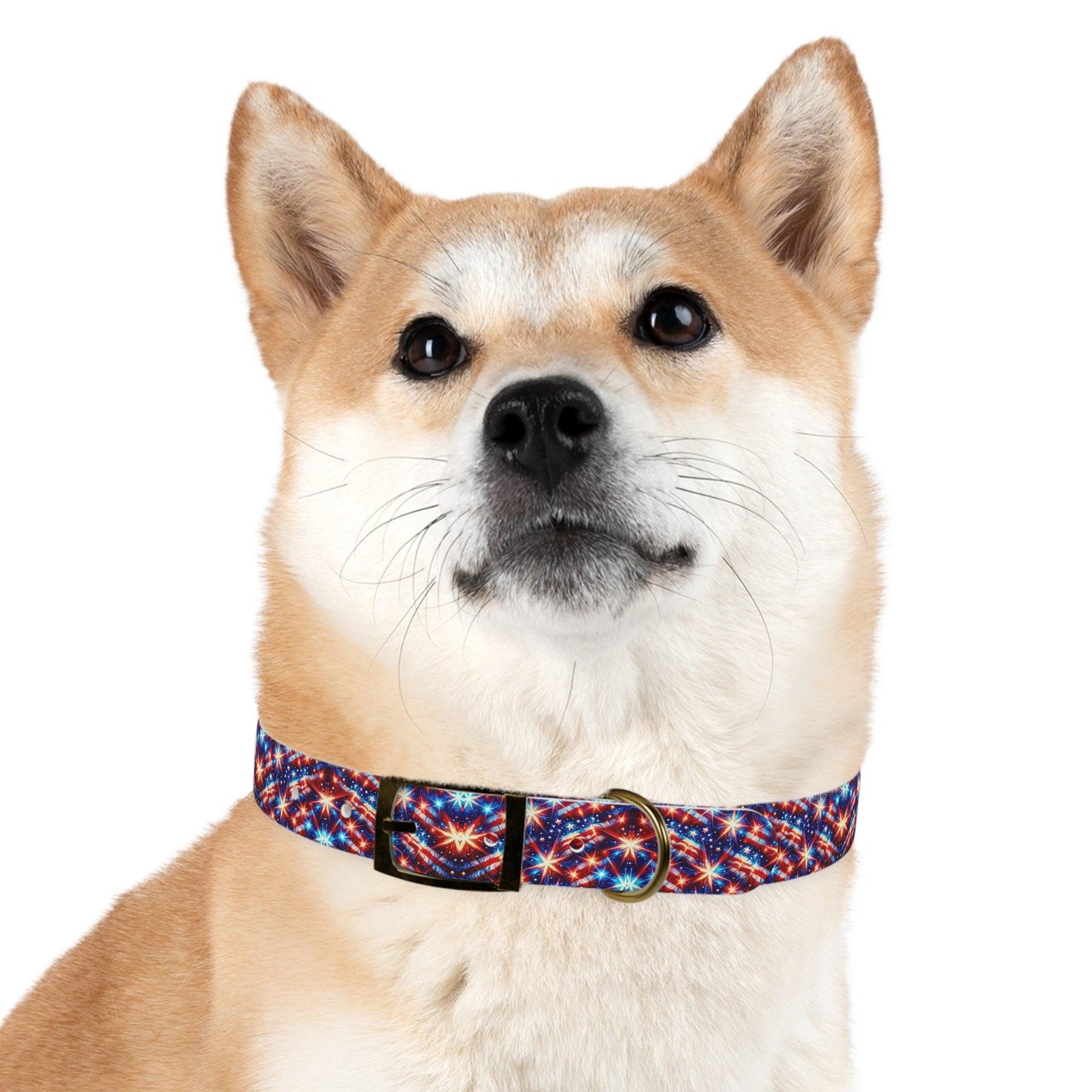 Snap "n" Strut Dog Collar ๐พโจ!