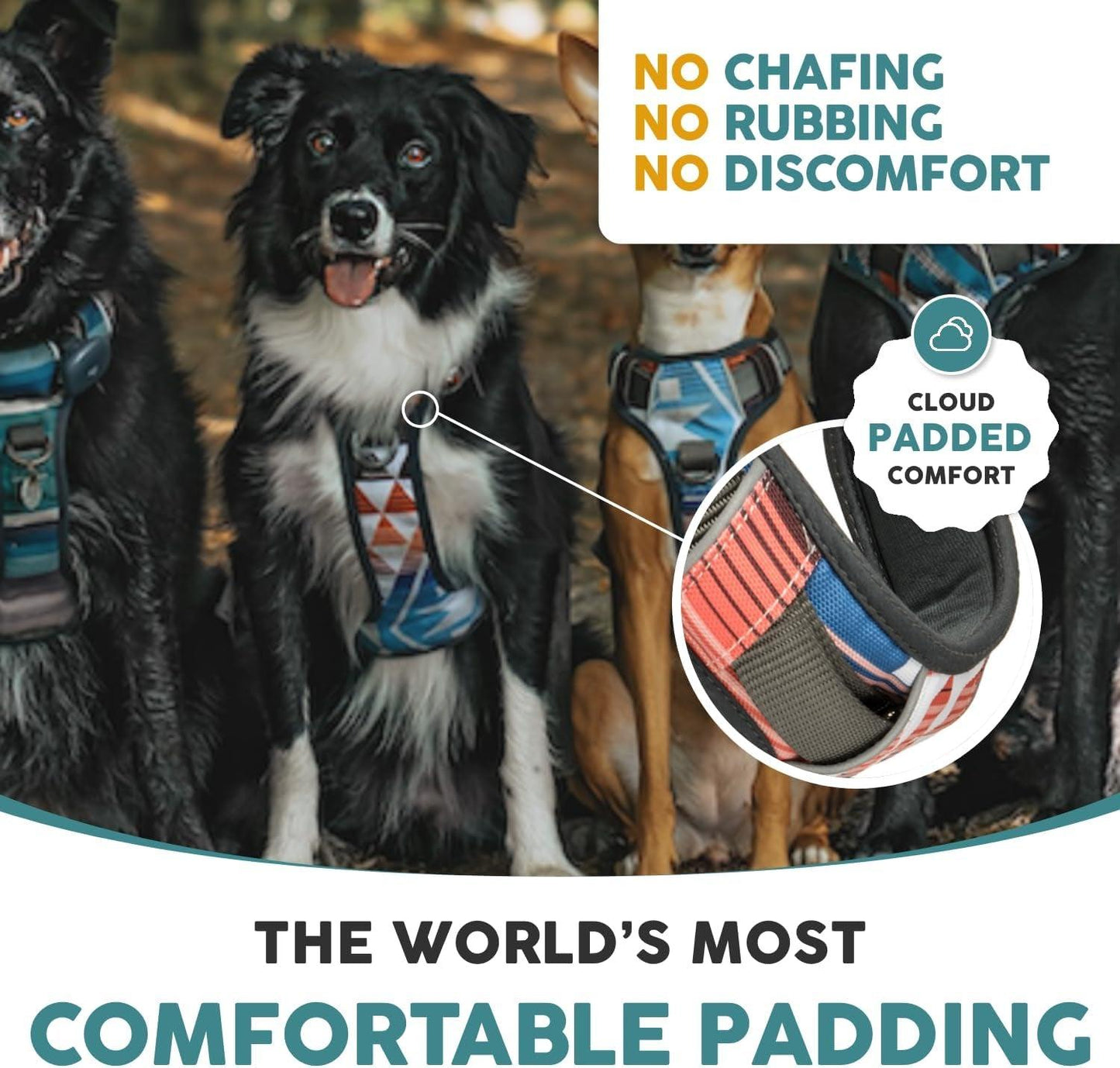 Embark Urban Dog Harness No-Pull Dog Harness for Small Dogs, Medium & Large. 2 Leash Clips, Front & Back with Control Handle, Adjustable Black Dog Vest for Any Breed, Soft & Padded for Comfort