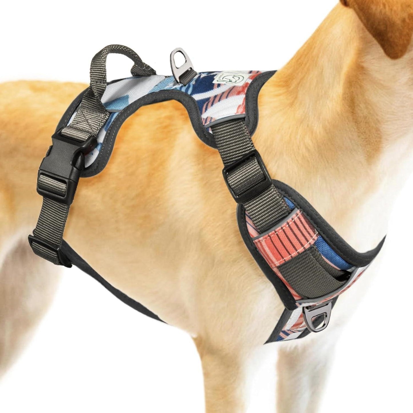 Embark Urban Dog Harness No-Pull Dog Harness for Small Dogs, Medium & Large. 2 Leash Clips, Front & Back with Control Handle, Adjustable Black Dog Vest for Any Breed, Soft & Padded for Comfort