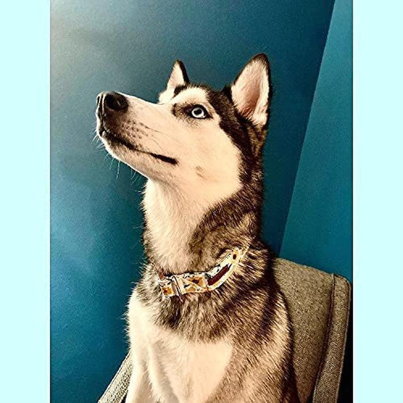 Sunflower Girl Dog Collar for Female Dogs, Pet Collar Adjustable Dog Collars with Flower Gift for Medium Dogs