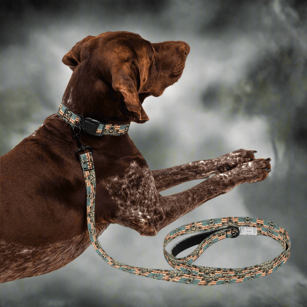Freedom Voyage Retro Collar and Leash Set