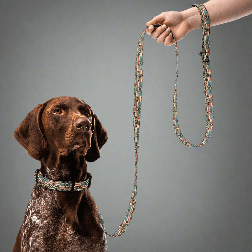Freedom Voyage Retro Collar and Leash Set