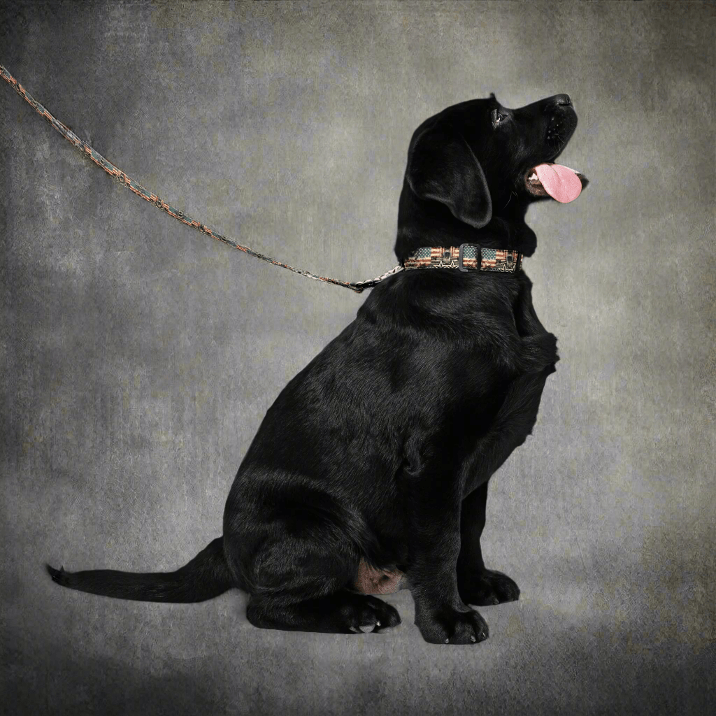 Freedom Voyage Retro Collar and Leash Set