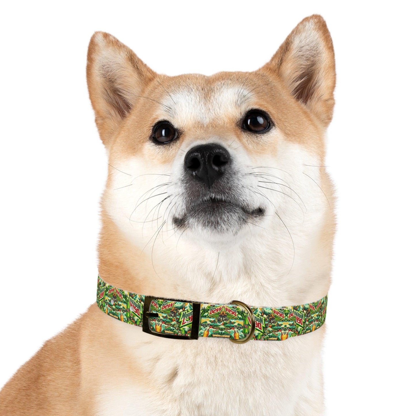 Charged Up & Chugging Dog Collar