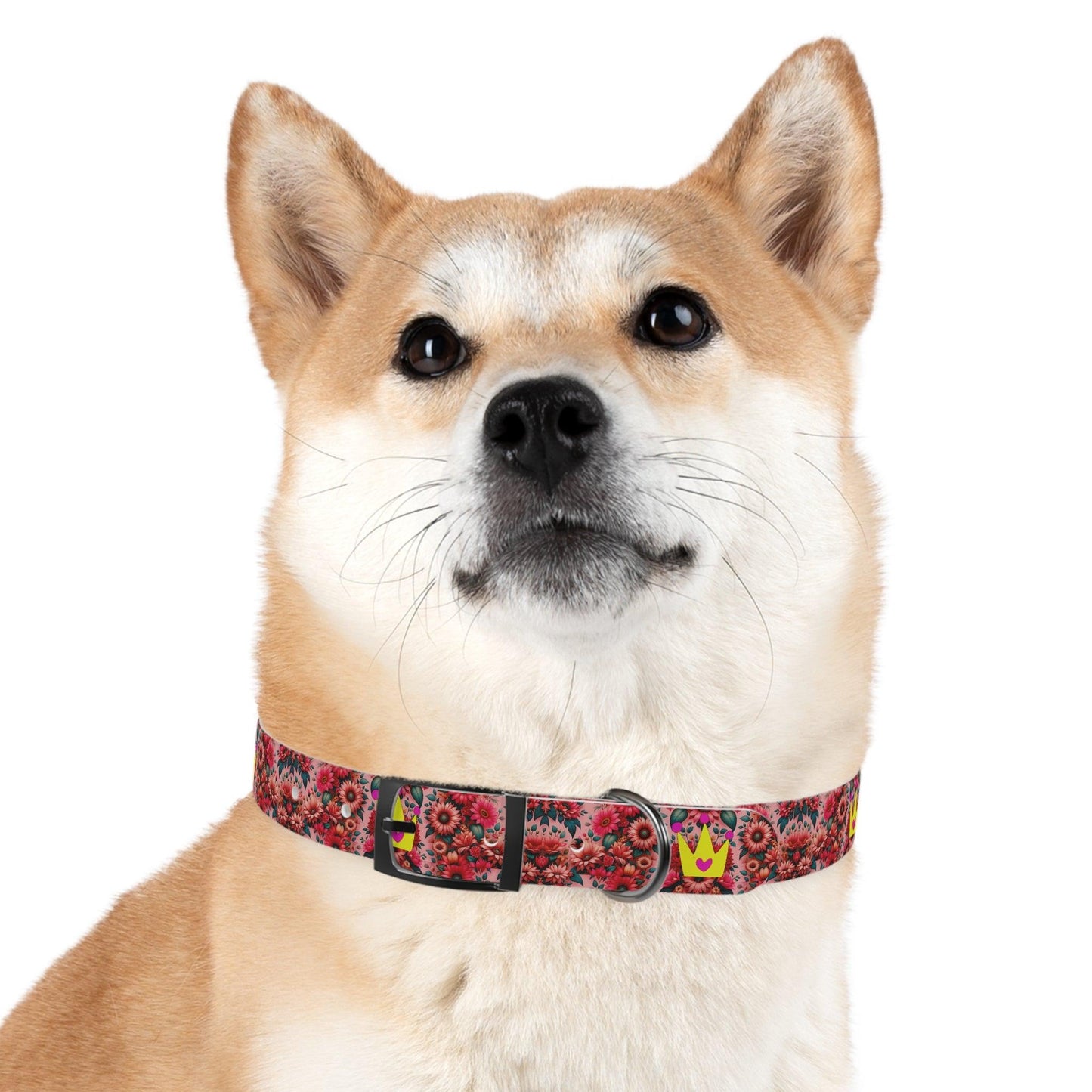 Faith's Floral Best Friends and Princess Dog Collar