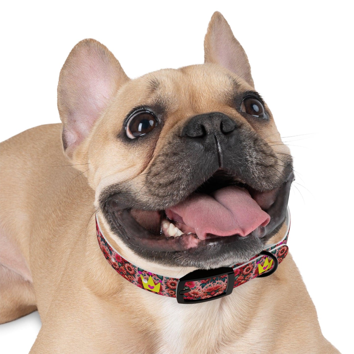 Faith's Floral Best Friends and Princess Dog Collar