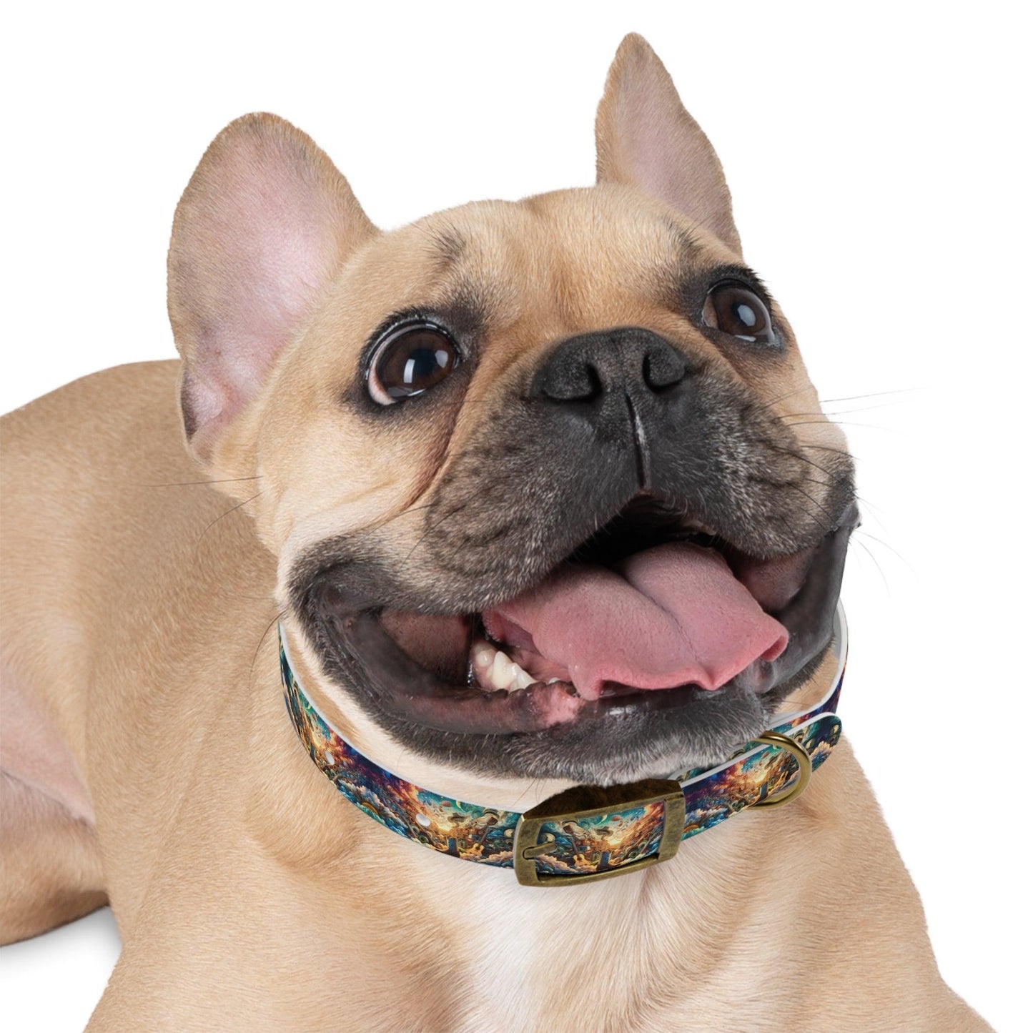 Lonestar Dreamscape Dog Collar