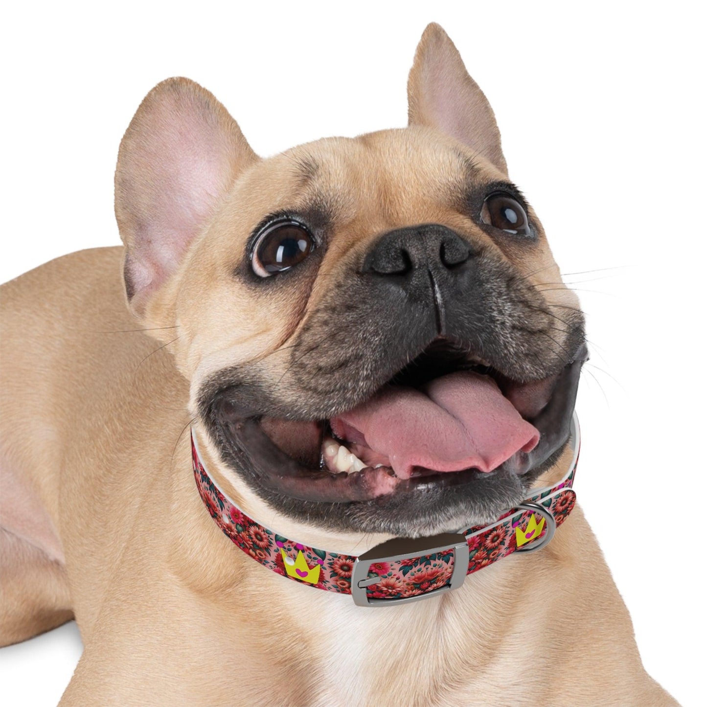 Faith's Floral Best Friends and Princess Dog Collar