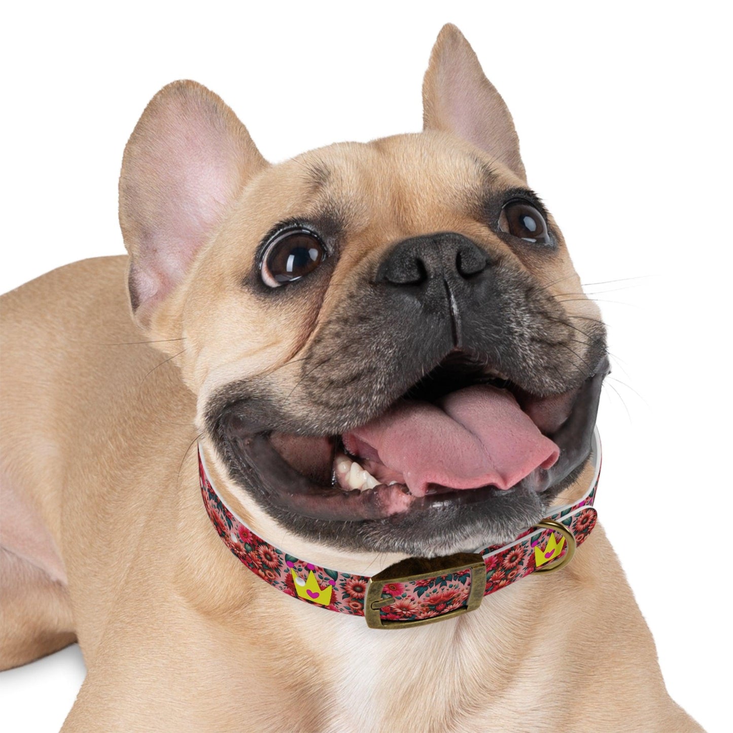 Faith's Floral Best Friends and Princess Dog Collar
