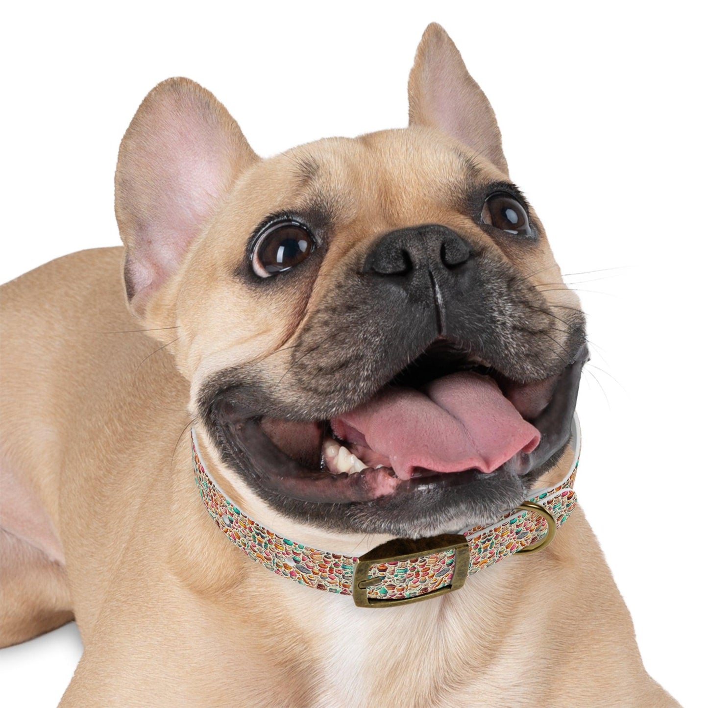 Sugar Rush Designs Dog Collar